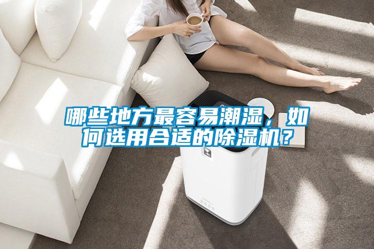 哪些地方最容易潮濕，如何選用合適的除濕機？