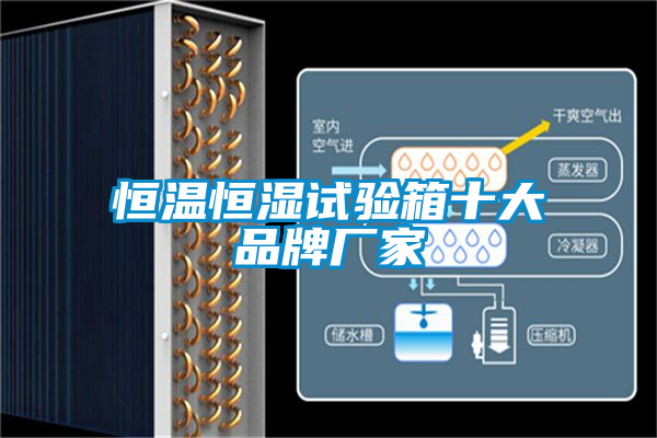 恒溫恒濕試驗箱十大品牌廠(chǎng)家