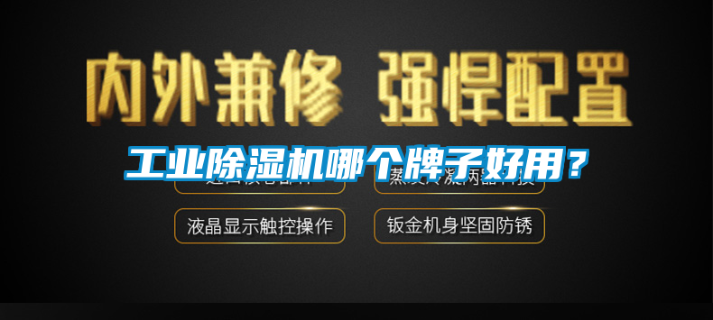 工業(yè)除濕機哪個(gè)牌子好用？