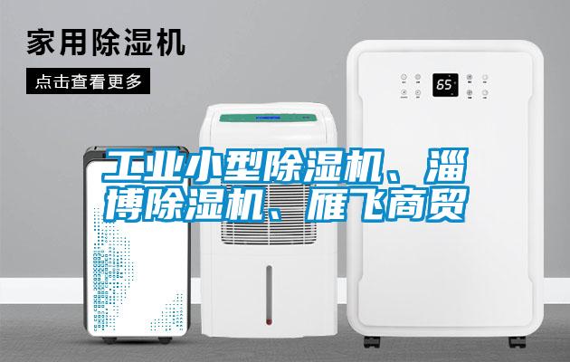 工業(yè)小型除濕機、淄博除濕機、雁飛商貿