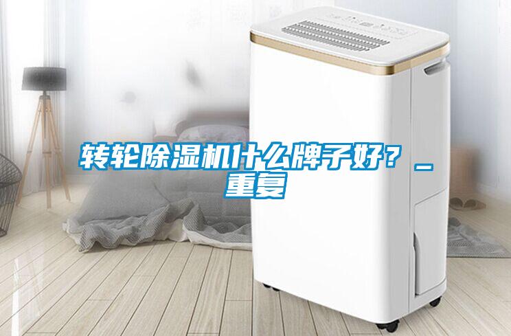 轉輪除濕機什么牌子好？_重復