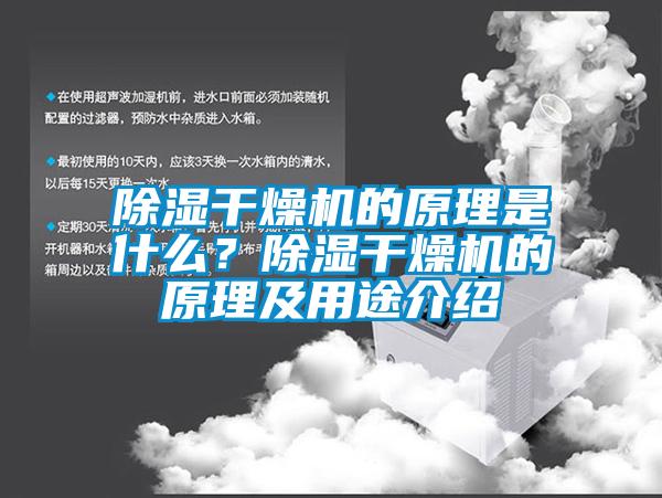 除濕干燥機的原理是什么？除濕干燥機的原理及用途介紹