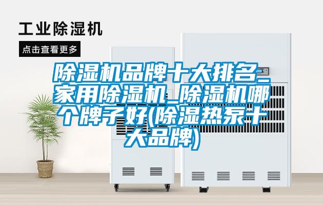 除濕機品牌十大排名_家用除濕機_除濕機哪個(gè)牌子好(除濕熱泵十大品牌)