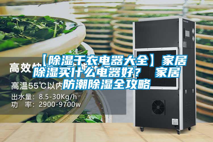 【除濕干衣電器大全】家居除濕買(mǎi)什么電器好？ 家居防潮除濕全攻略