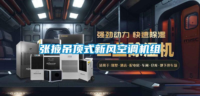 張掖吊頂式新風(fēng)空調機組