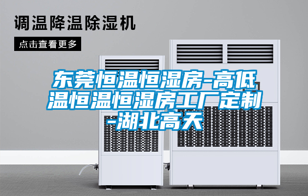 東莞恒溫恒濕房-高低溫恒溫恒濕房工廠(chǎng)定制-湖北高天