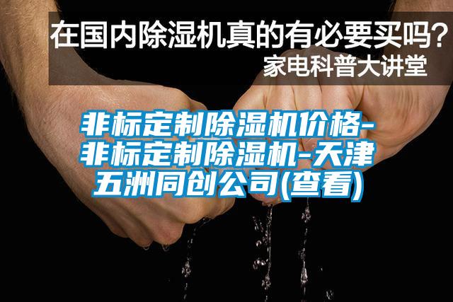 非標定制除濕機價(jià)格-非標定制除濕機-天津五洲同創(chuàng  )公司(查看)