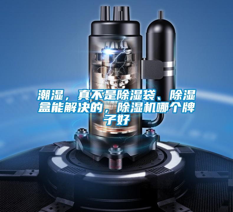 潮濕，真不是除濕袋、除濕盒能解決的，除濕機哪個(gè)牌子好