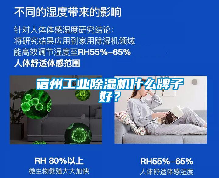 宿州工業(yè)除濕機什么牌子好？