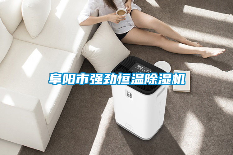 阜陽(yáng)市強勁恒溫除濕機