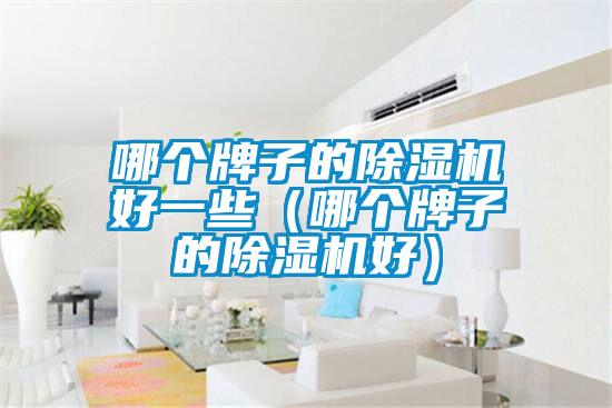哪個(gè)牌子的除濕機好一些（哪個(gè)牌子的除濕機好）