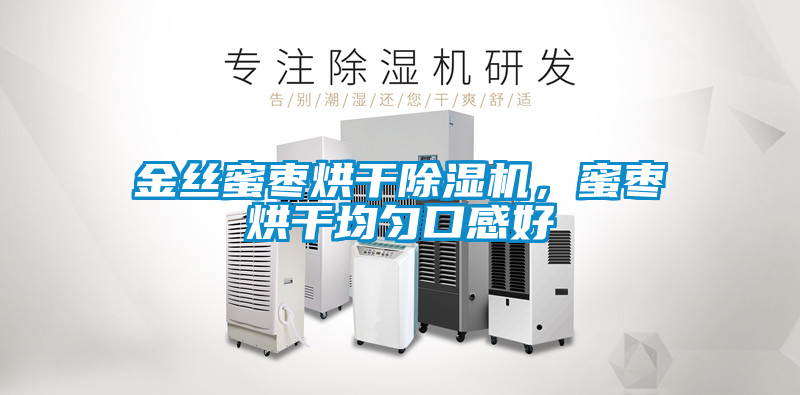 金絲蜜棗烘干除濕機，蜜棗烘干均勻口感好