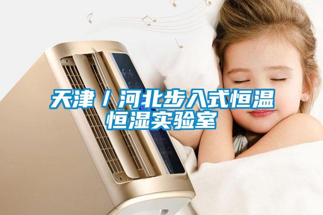 天津／河北步入式恒溫恒濕實(shí)驗室