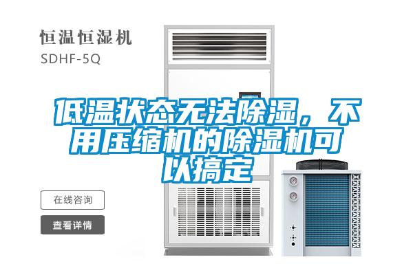 低溫狀態(tài)無(wú)法除濕，不用壓縮機的除濕機可以搞定