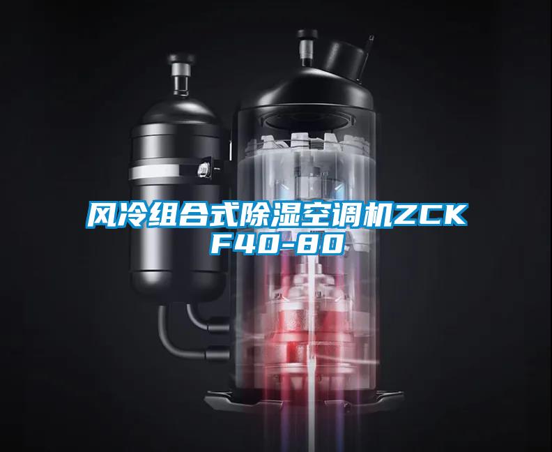 風(fēng)冷組合式除濕空調機ZCKF40-80