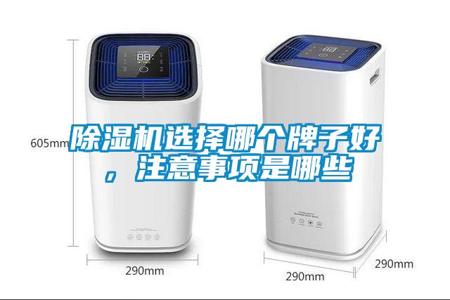 除濕機選擇哪個(gè)牌子好，注意事項是哪些