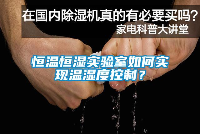 恒溫恒濕實(shí)驗室如何實(shí)現溫濕度控制？
