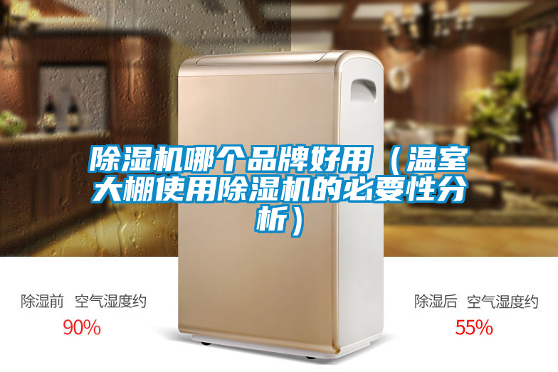 除濕機哪個(gè)品牌好用（溫室大棚使用除濕機的必要性分析）