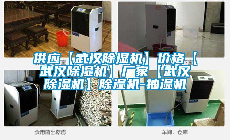 供應【武漢除濕機】?jì)r(jià)格【武漢除濕機】廠(chǎng)家【武漢除濕機】除濕機-抽濕機