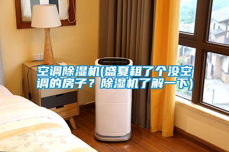 空調除濕機(盛夏租了個(gè)沒(méi)空調的房子？除濕機了解一下)