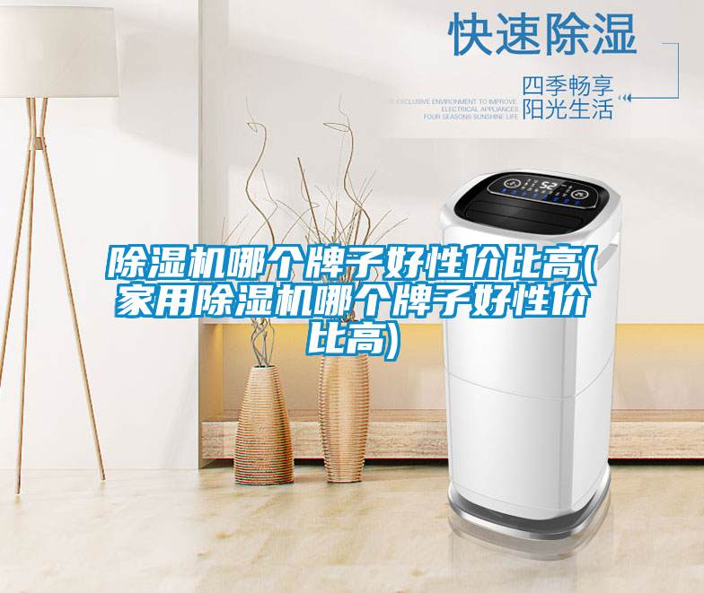 除濕機哪個(gè)牌子好性?xún)r(jià)比高(家用除濕機哪個(gè)牌子好性?xún)r(jià)比高)