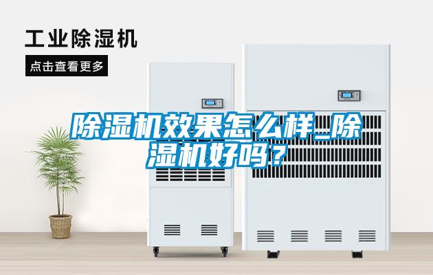 除濕機效果怎么樣_除濕機好嗎？