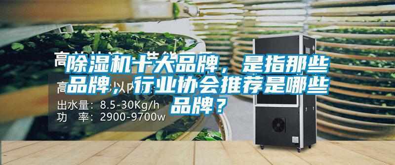 除濕機十大品牌，是指那些品牌，行業(yè)協(xié)會(huì )推薦是哪些品牌？