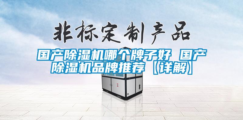 國產(chǎn)除濕機哪個(gè)牌子好 國產(chǎn)除濕機品牌推薦【詳解】