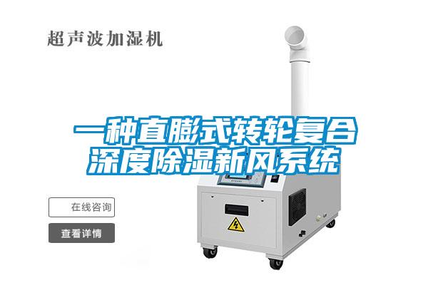 一種直膨式轉輪復合深度除濕新風(fēng)系統