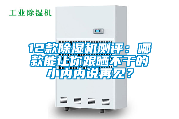 12款除濕機測評：哪款能讓你跟曬不干的小內內說(shuō)再見(jiàn)？