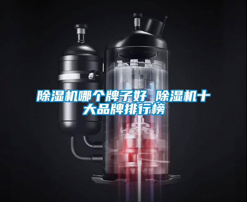 除濕機哪個(gè)牌子好 除濕機十大品牌排行榜