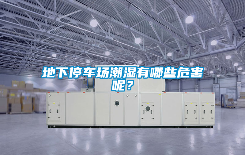 地下停車(chē)場(chǎng)潮濕有哪些危害呢？