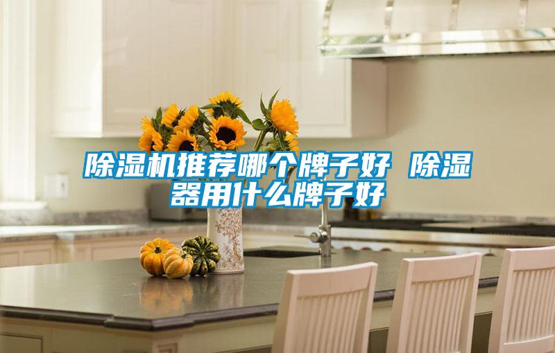除濕機推薦哪個(gè)牌子好 除濕器用什么牌子好