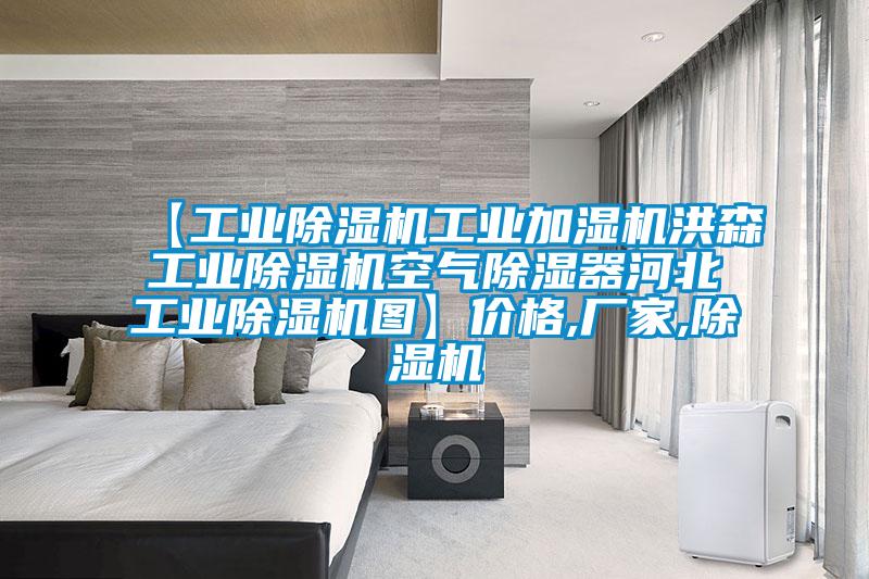 【工業(yè)除濕機工業(yè)加濕機洪森工業(yè)除濕機空氣除濕器河北工業(yè)除濕機圖】?jì)r(jià)格,廠(chǎng)家,除濕機