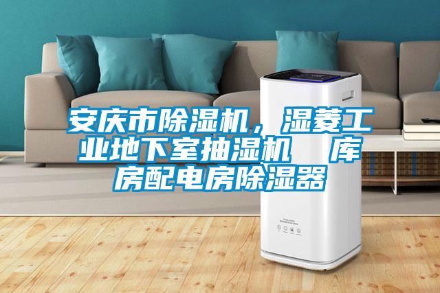 安慶市除濕機，濕菱工業(yè)地下室抽濕機  庫房配電房除濕器