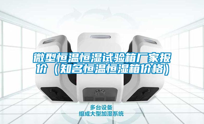 微型恒溫恒濕試驗箱廠(chǎng)家報價(jià)（知名恒溫恒濕箱價(jià)格）