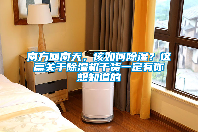 南方回南天，該如何除濕？這篇關(guān)于除濕機干貨一定有你想知道的