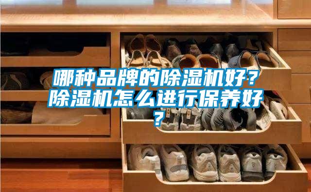 哪種品牌的除濕機好？除濕機怎么進(jìn)行保養好？