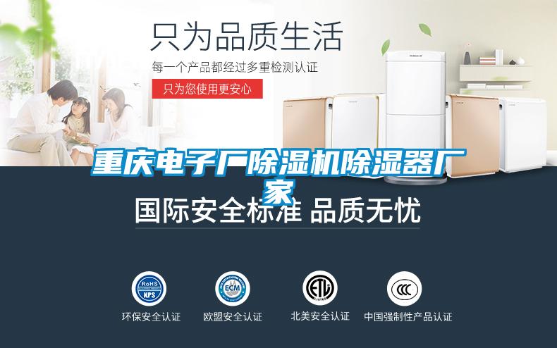 重慶電子廠(chǎng)除濕機除濕器廠(chǎng)家