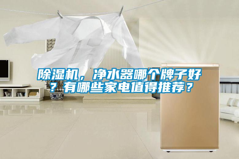 除濕機，凈水器哪個(gè)牌子好？有哪些家電值得推薦？
