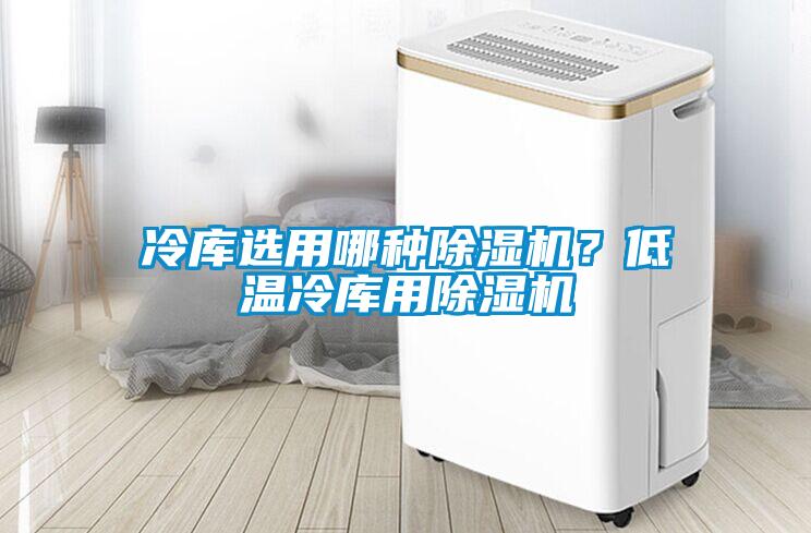 冷庫選用哪種除濕機？低溫冷庫用除濕機