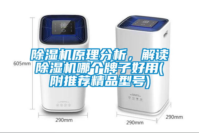 除濕機原理分析，解讀除濕機哪個(gè)牌子好用(附推薦精品型號)