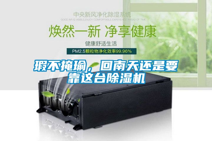 瑕不掩瑜，回南天還是要靠這臺除濕機