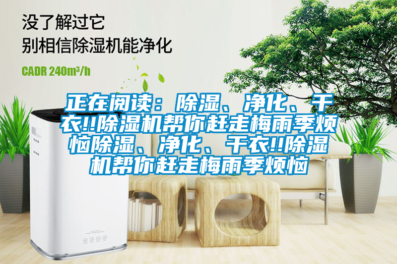 正在閱讀：除濕、凈化、干衣!!除濕機幫你趕走梅雨季煩惱除濕、凈化、干衣!!除濕機幫你趕走梅雨季煩惱