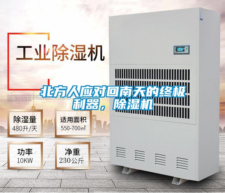北方人應對回南天的終極利器，除濕機