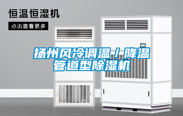 揚州風(fēng)冷調溫／降溫管道型除濕機