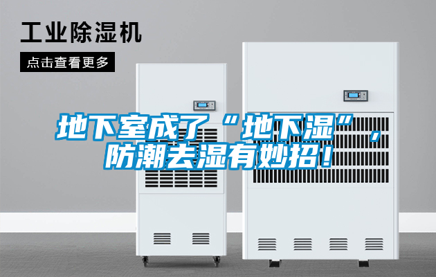 地下室成了“地下濕”，防潮去濕有妙招！