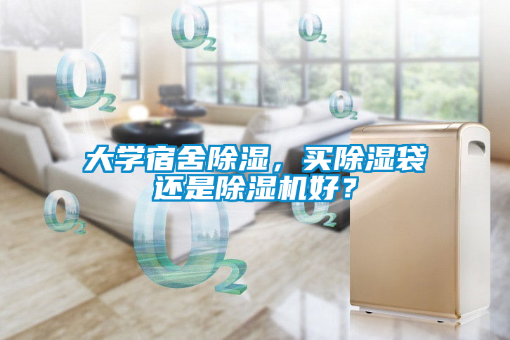 大學(xué)宿舍除濕，買(mǎi)除濕袋還是除濕機好？