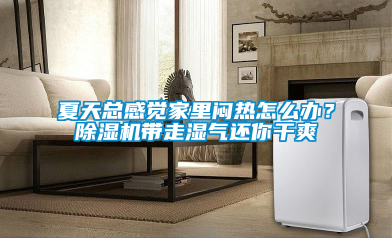夏天總感覺(jué)家里悶熱怎么辦？除濕機帶走濕氣還你干爽