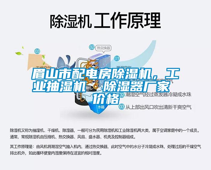 眉山市配電房除濕機，工業(yè)抽濕機  除濕器廠(chǎng)家 價(jià)格